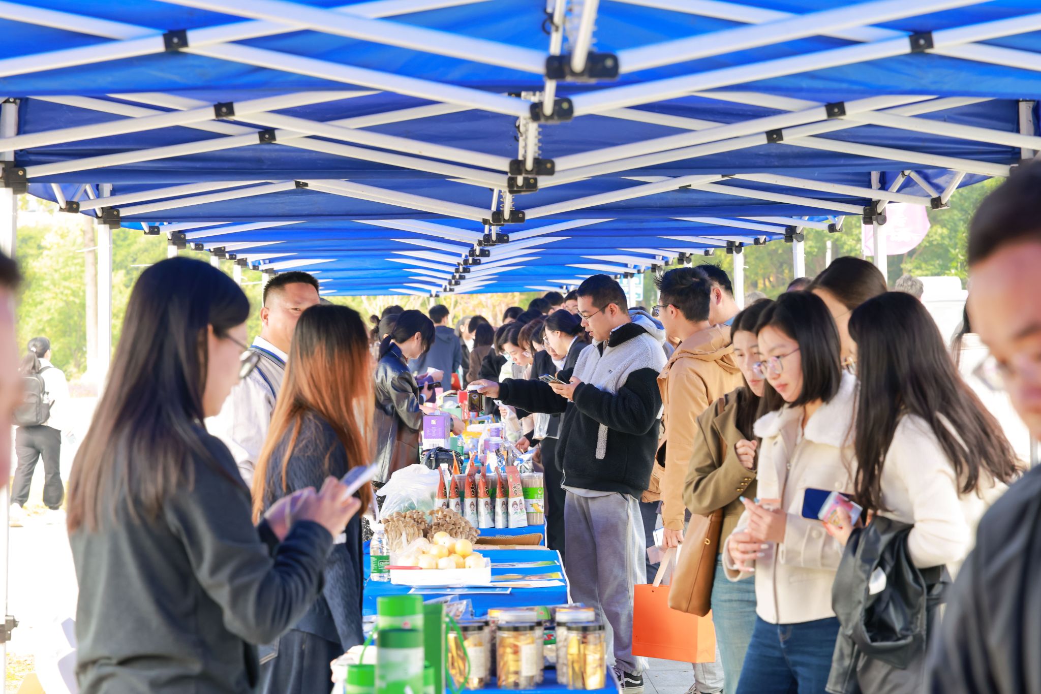 世界杯投注平台