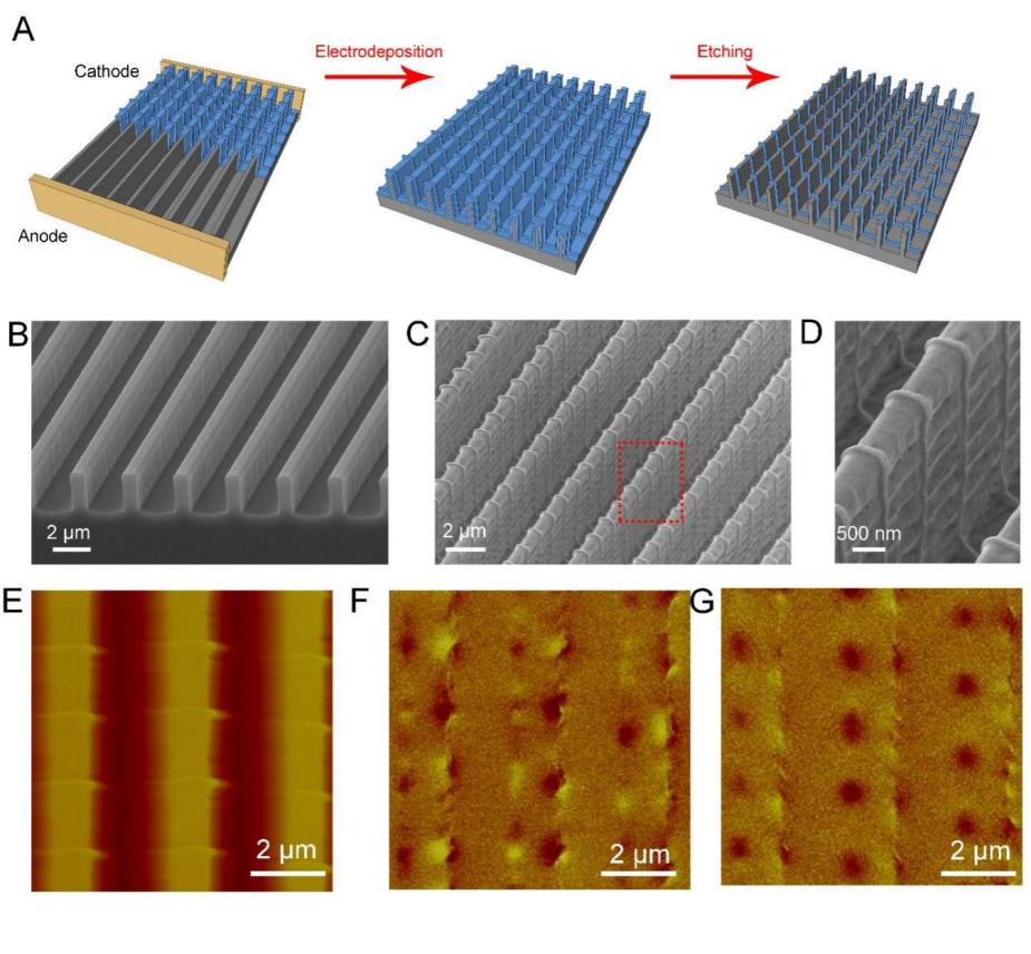 世界杯投注平台