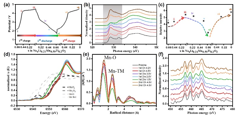世界杯投注平台
