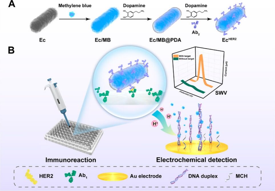 世界杯投注平台