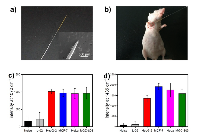 世界杯投注平台