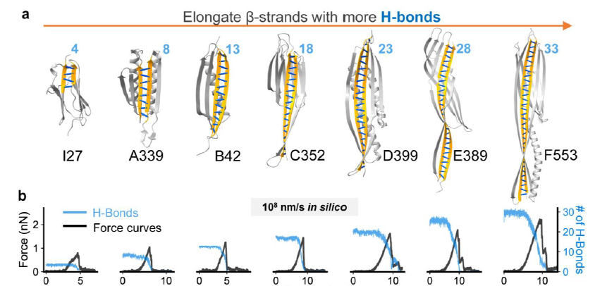 世界杯投注平台