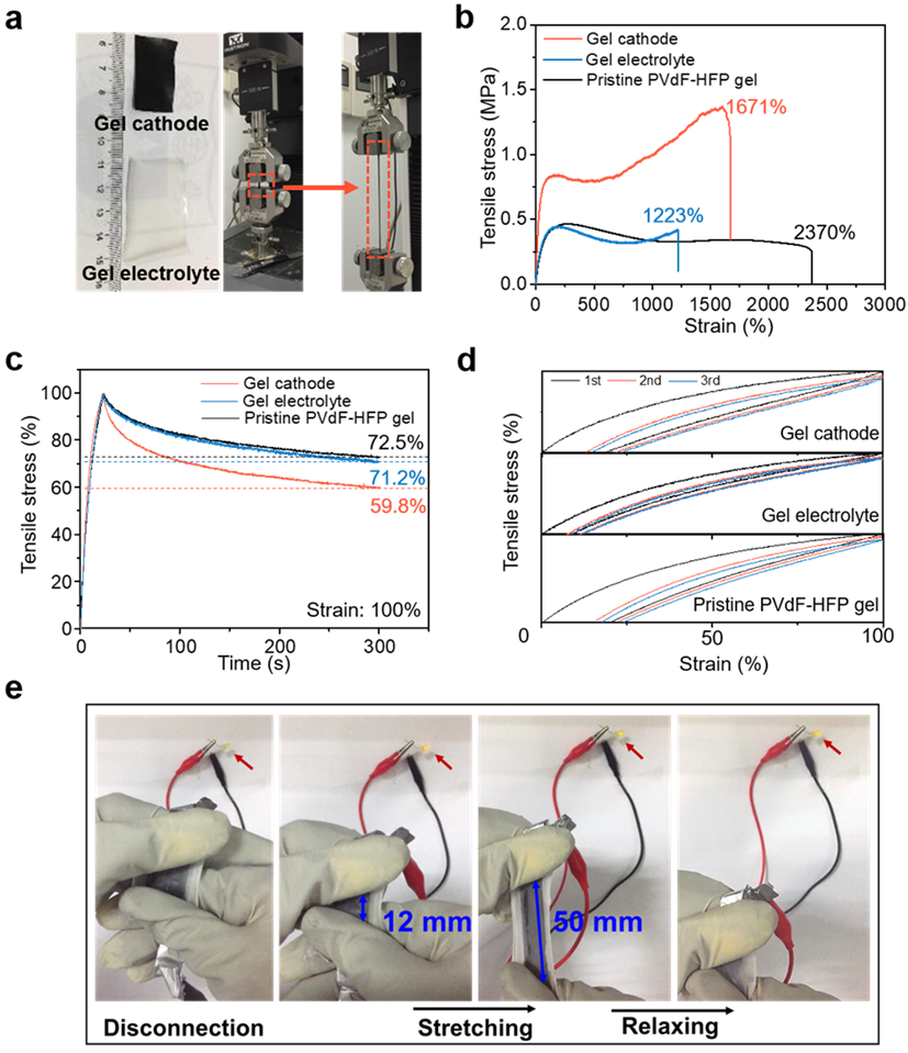 世界杯投注平台