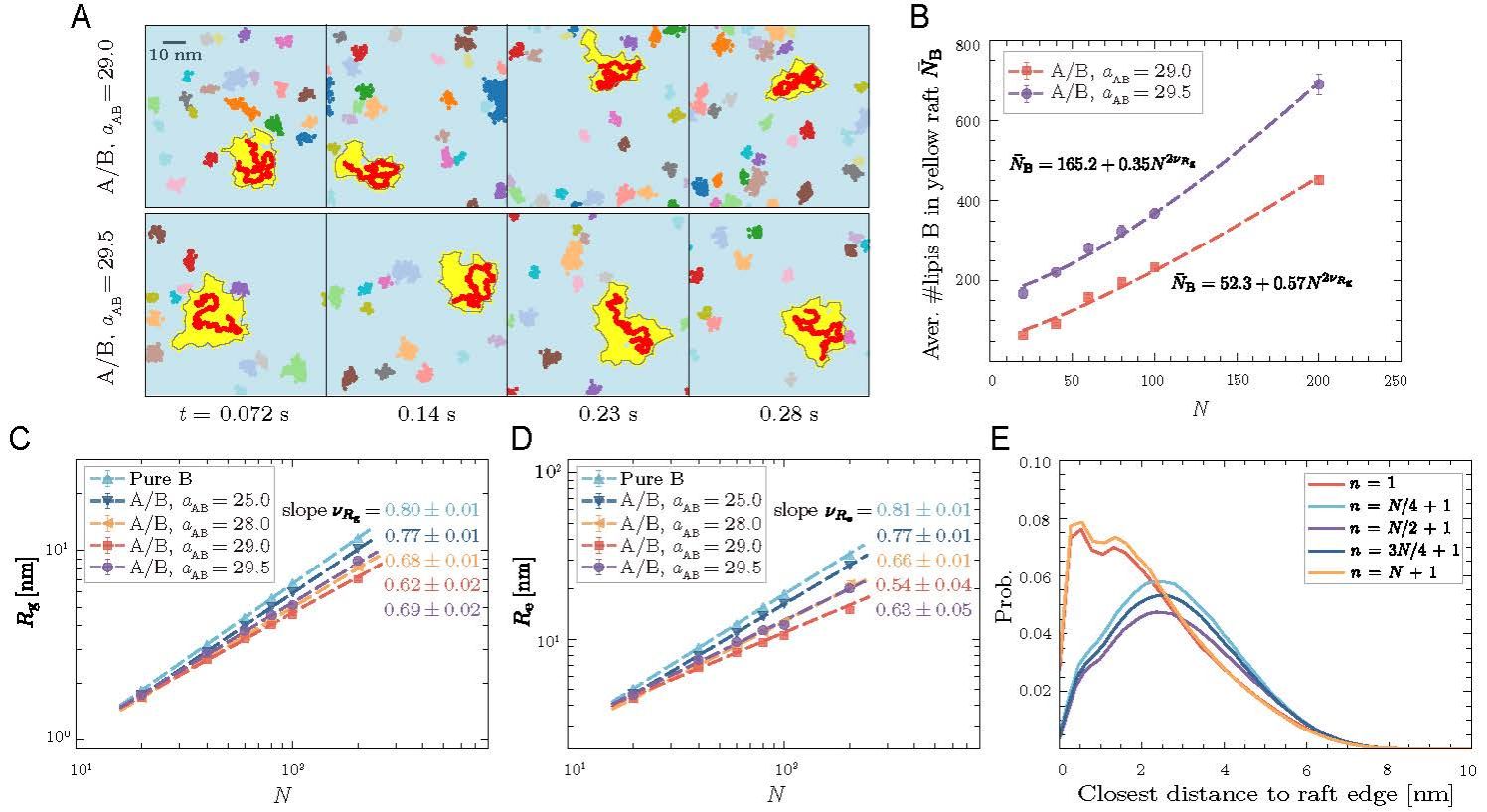 世界杯投注平台