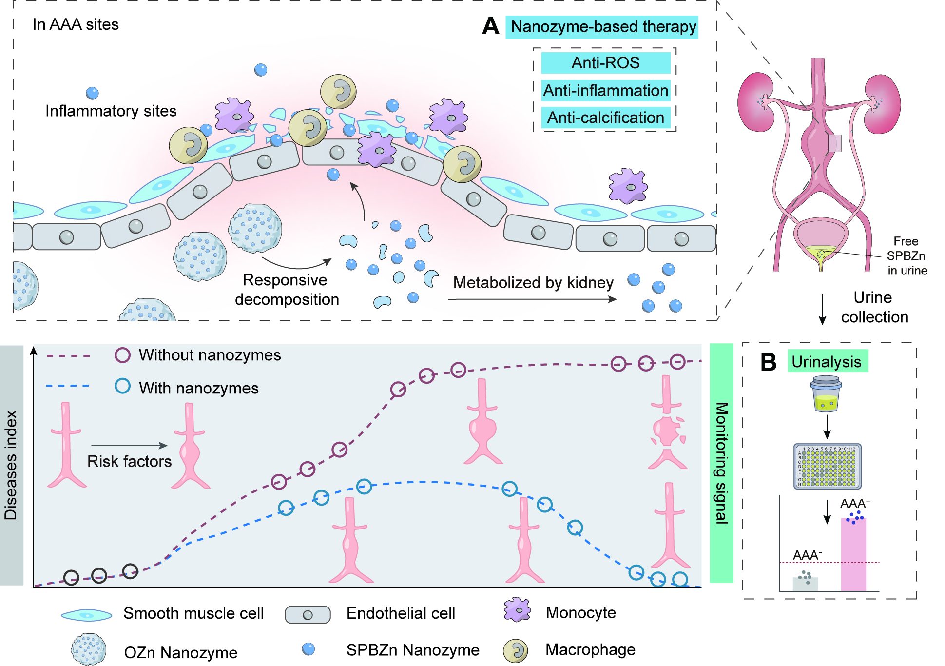 世界杯投注平台