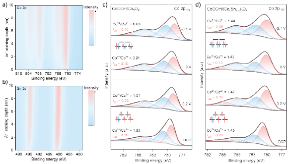 世界杯投注平台