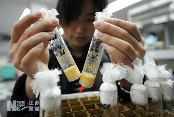 世界杯投注平台