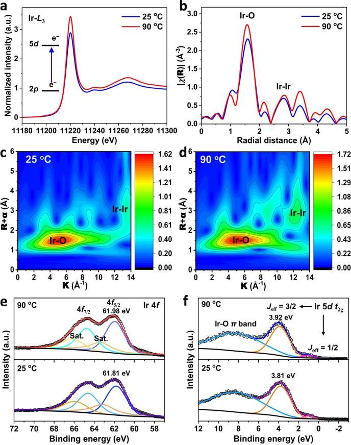 世界杯投注平台