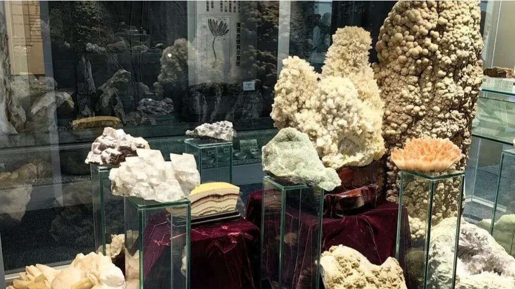 世界杯投注平台