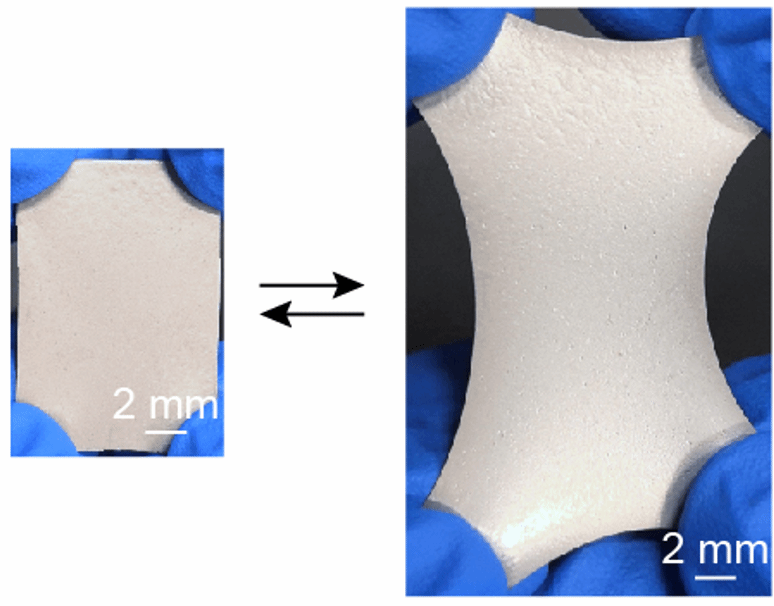 世界杯投注平台