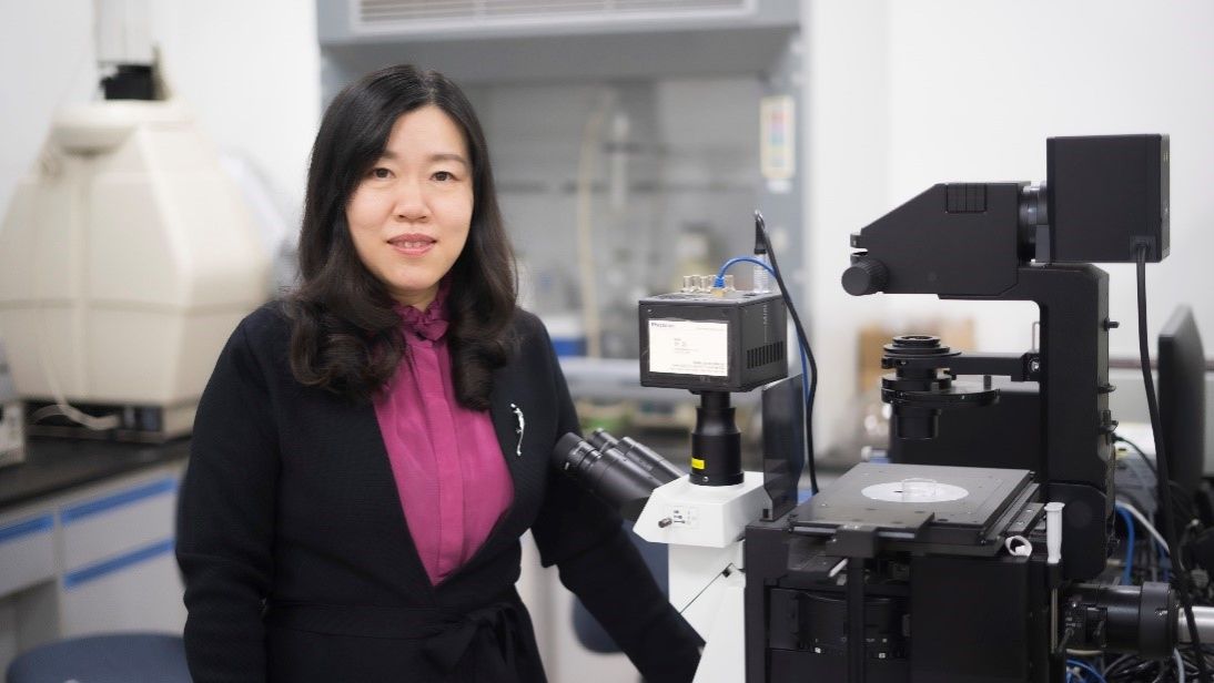 世界杯投注平台