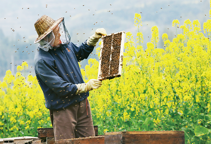 世界杯投注平台