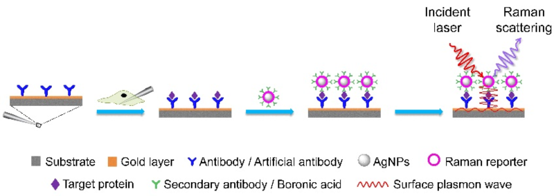 世界杯投注平台