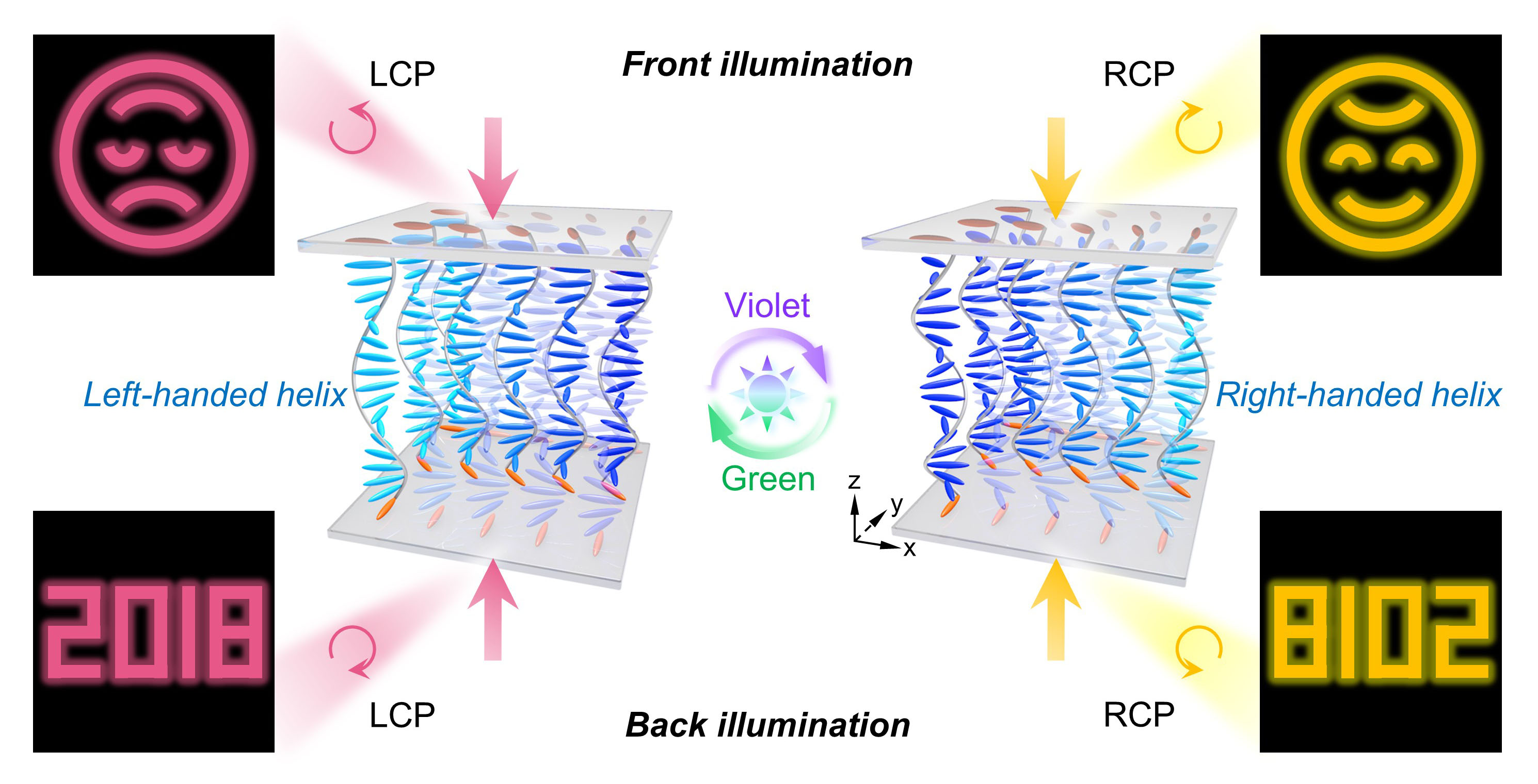 世界杯投注平台