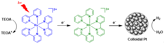 世界杯投注平台