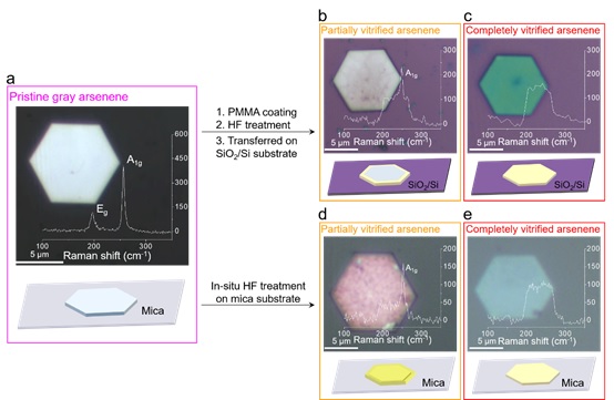 1 世界杯投注平台
