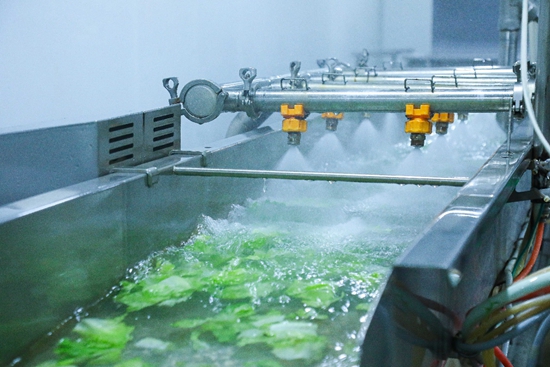 世界杯投注平台