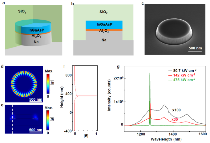世界杯投注平台