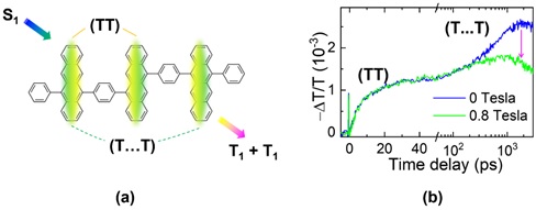 1 世界杯投注平台