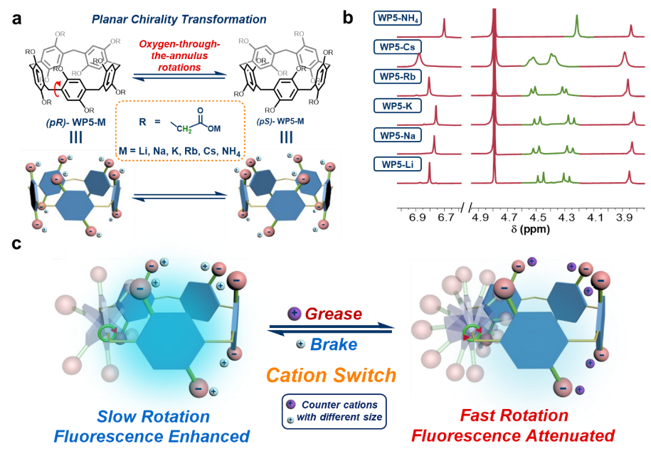 世界杯投注平台