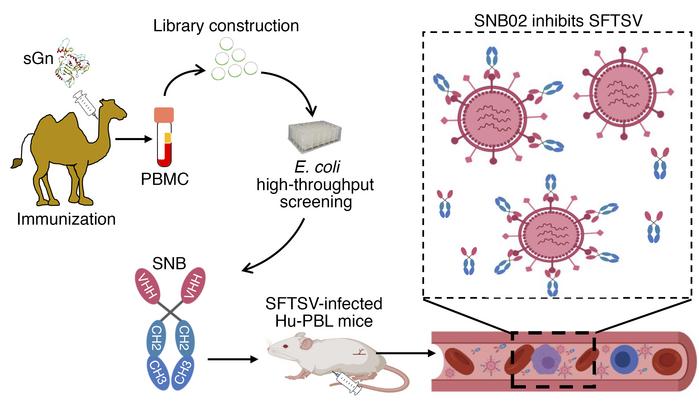 世界杯投注平台
