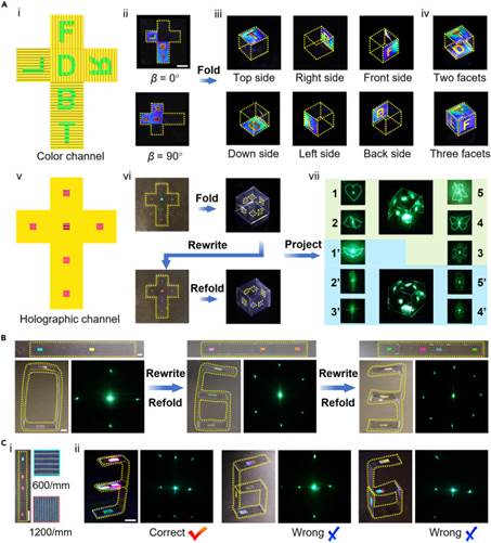 世界杯投注平台