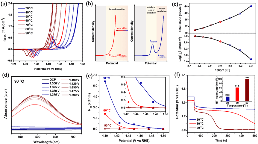 世界杯投注平台
