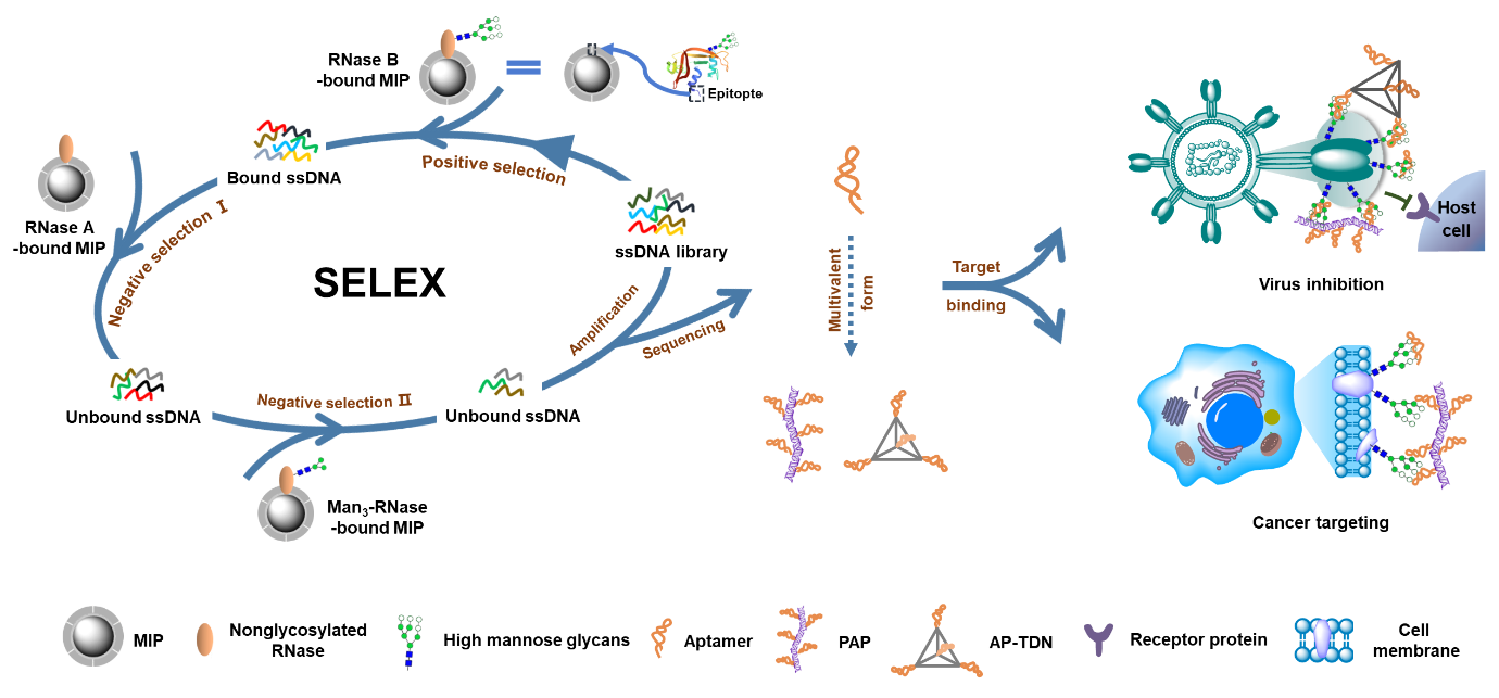 世界杯投注平台