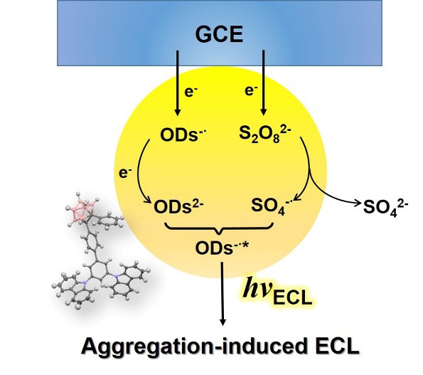 世界杯投注平台
