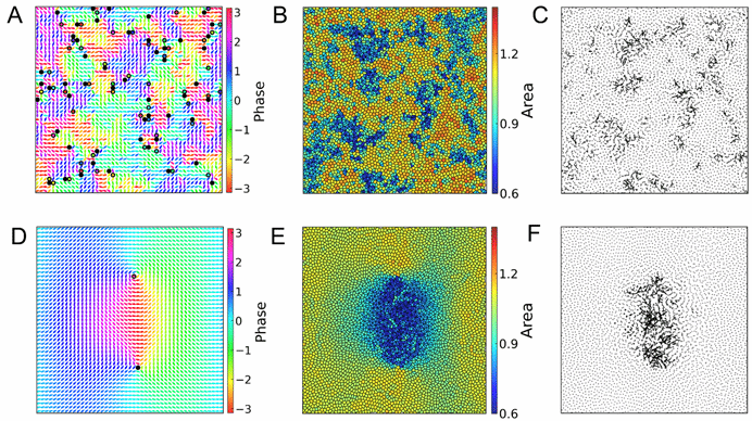 世界杯投注平台
