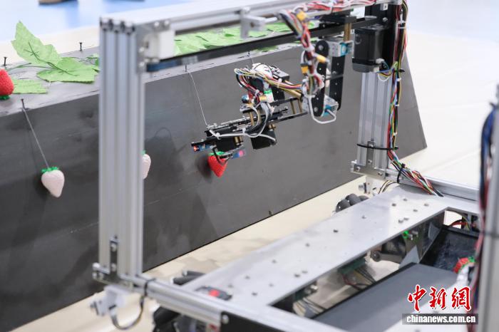 世界杯投注平台