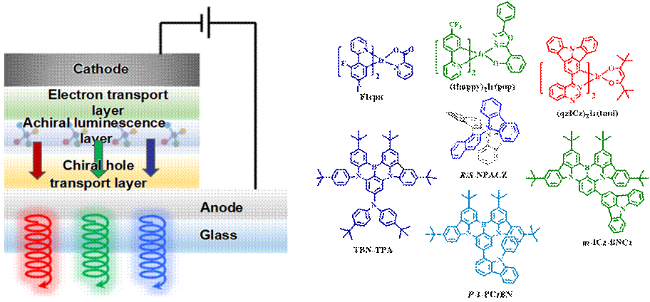 世界杯投注平台