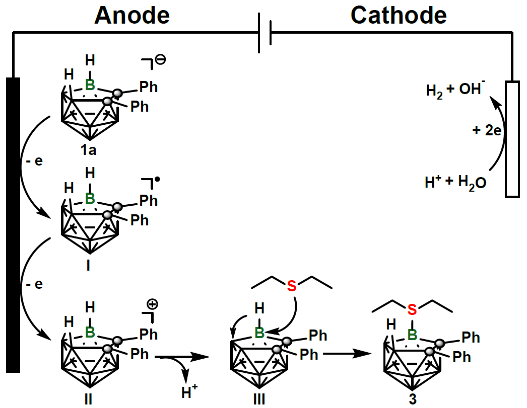 世界杯投注平台