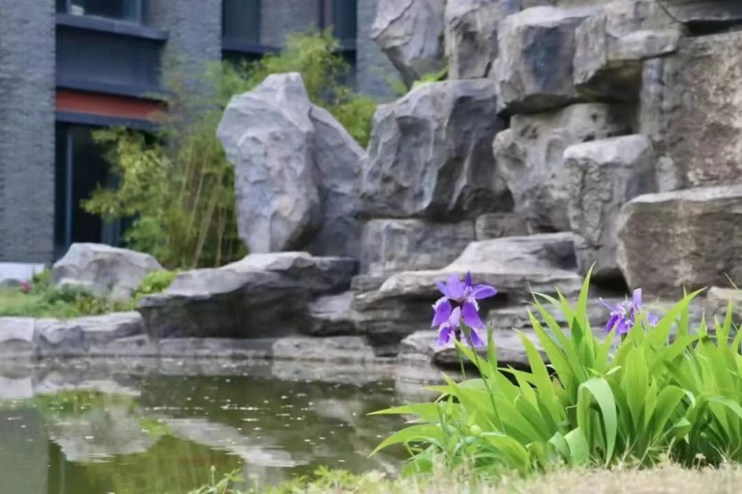 世界杯投注平台