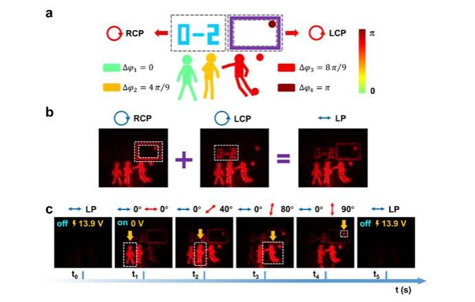 世界杯投注平台