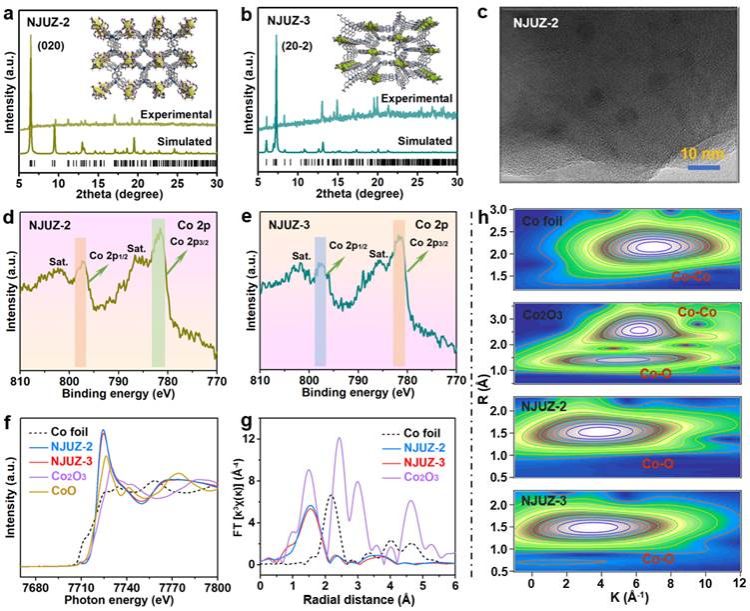 世界杯投注平台