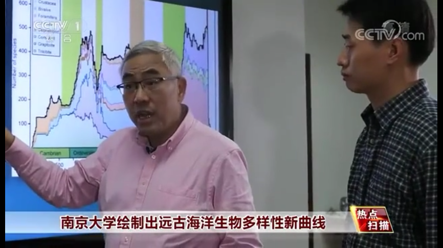 世界杯投注平台