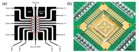 世界杯投注平台