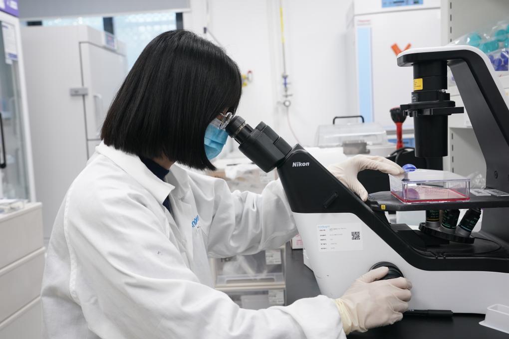 世界杯投注平台