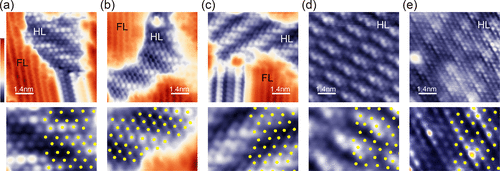 世界杯投注平台