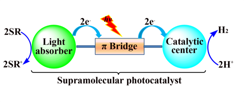 世界杯投注平台