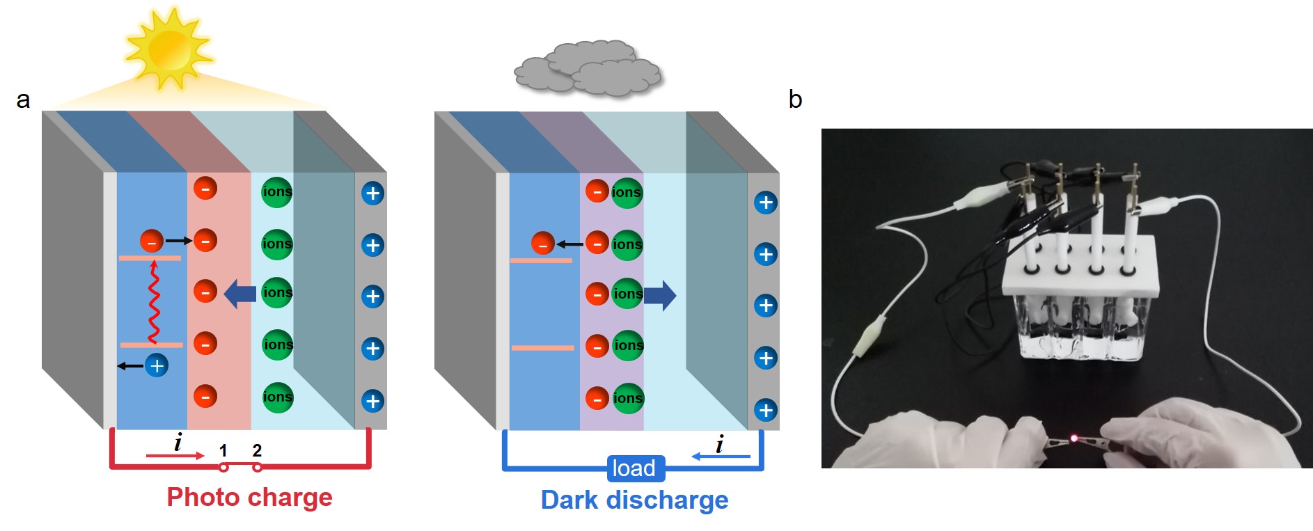 世界杯投注平台