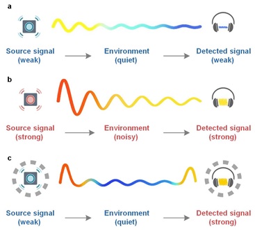 1 世界杯投注平台
