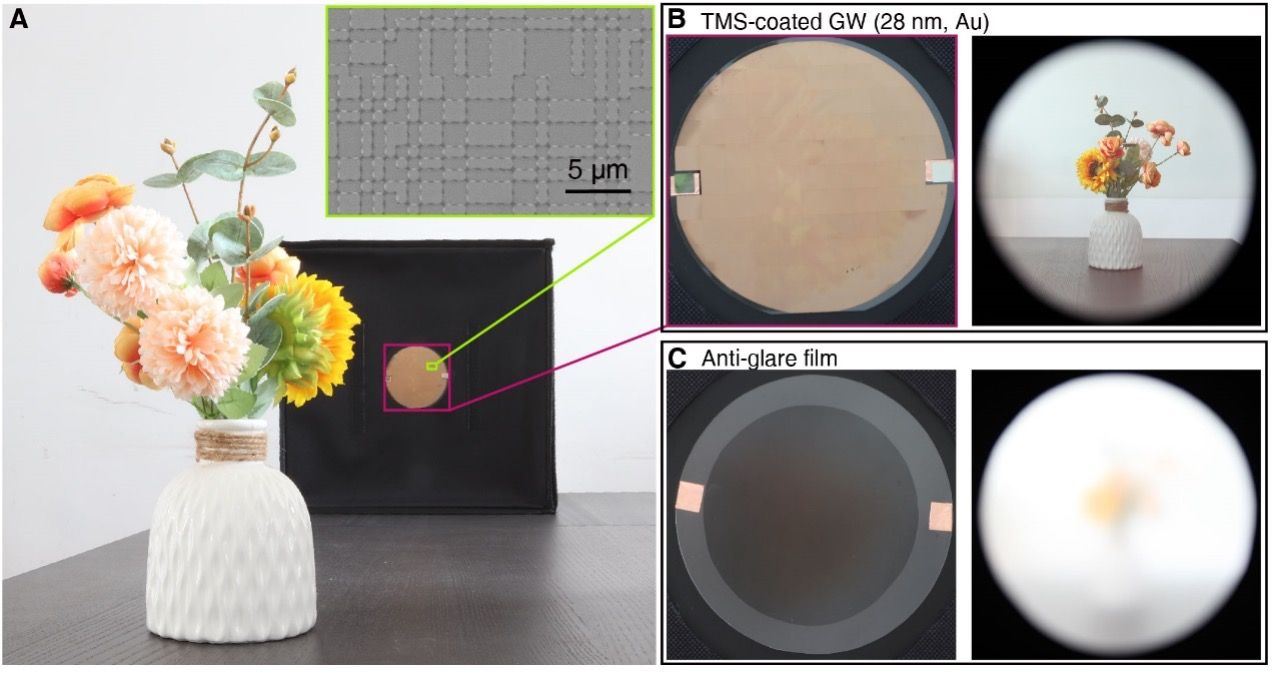 世界杯投注平台