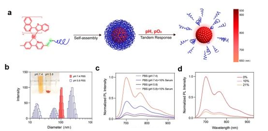 世界杯投注平台