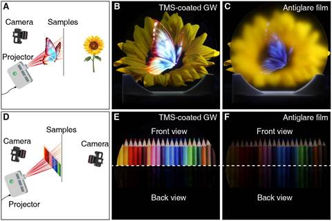 世界杯投注平台