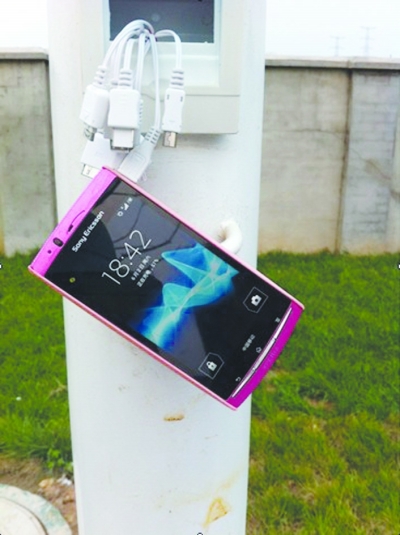 世界杯投注平台