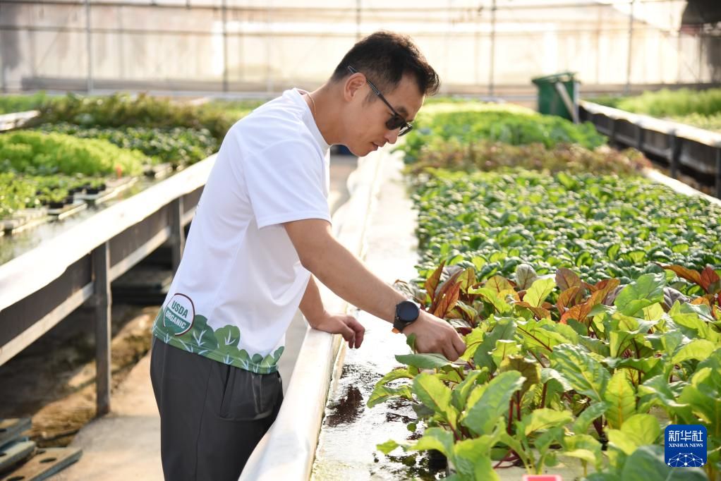 世界杯投注平台