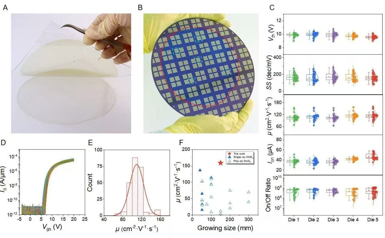 世界杯投注平台