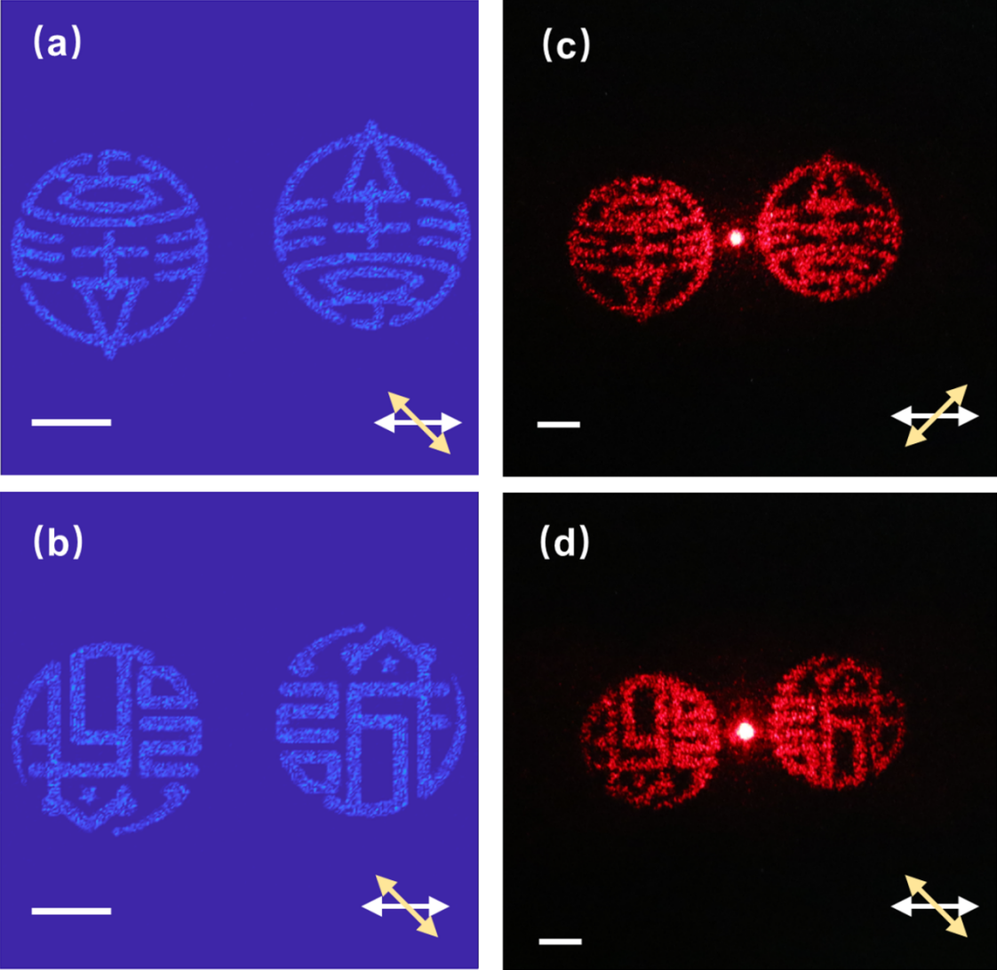 世界杯投注平台